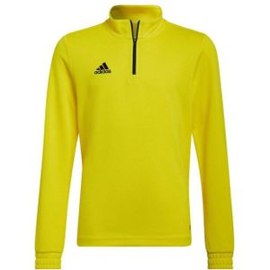 Adidas - Entrada 22 - Trainings Sweatshirt - 100% Gerecycled Polyester - Met Lange Mouwen