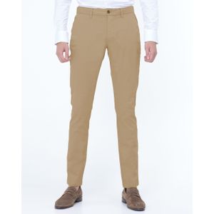 Campbell Chino