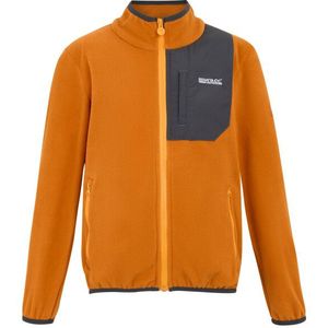 Regatta - Vest - Groen - 100% Gerecycled Polyester - Lange Mouwen - Rits