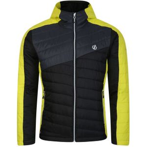 Dare2b - Iloft Ecofill - Winterjas - Kleurenblok - Polyester - Met Kap