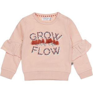 Dirkje Baby meisjes sweater grow flow dusty