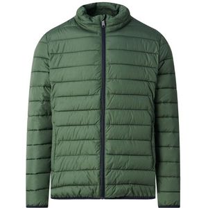 Campbell Padded jacket zane