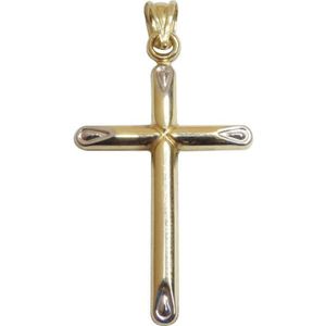 Christian Bicolor gouden holle kruis