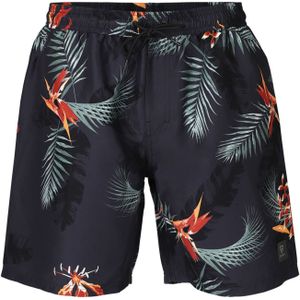 Brunotti maron-ao men swimshort -