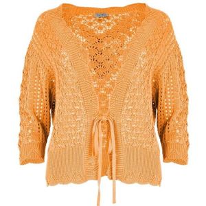 MAICAZZ - Su2365212 - Vest - Oranje
