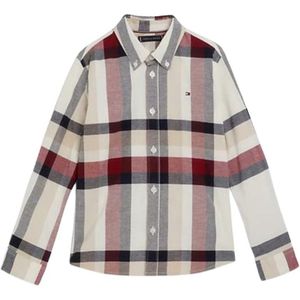 Tommy Hilfiger Checkered shirt