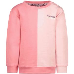 B.Nosy Baby meisjes sweater colorblock horizontal strawberry ice