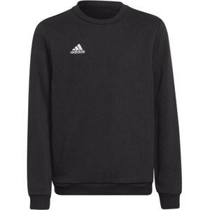 Adidas - Sweater - Blauw - Katoen/Polyester - Geborduurd Logo