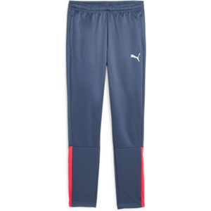 Puma teamliga training pants jr -