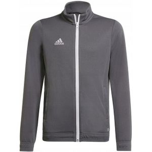 Adidas - Entrada 22 - Jas - 100% Gerecycled Polyester - Met Lange Mouwen