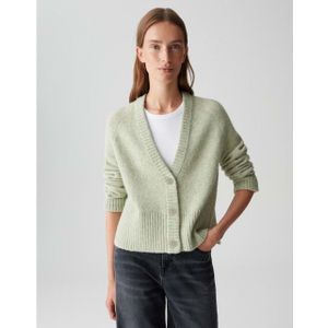 OPUS - Dassi - Gebreid Vest - Pastelgroen