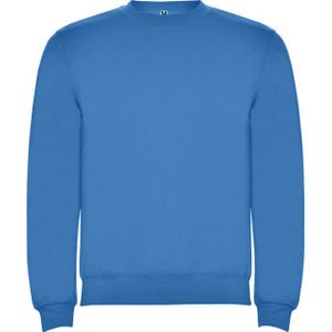 Roly Kinderen/kinderen clasica sweatshirt met ronde hals