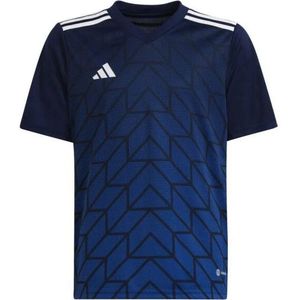 Adidas - Team Icoon 23 - T-shirt - 100% Polyester - Korte Mouwen