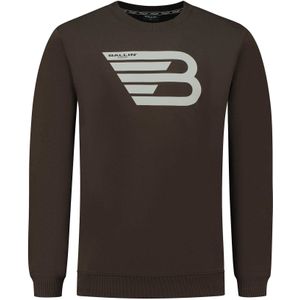 Ballin Amsterdam Trui sweater print w23 bruin