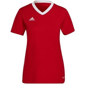 Adidas - Entrada 22 - Jersey - Dames - Korte Mouwen - Effen