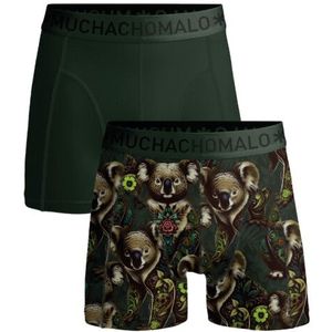 Muchachomalo Men 2-pack boxer shorts koala -