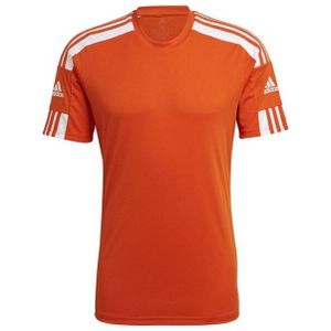 Adidas - Squadra 21 - Jersey - Primegroen - Korte Mouwen