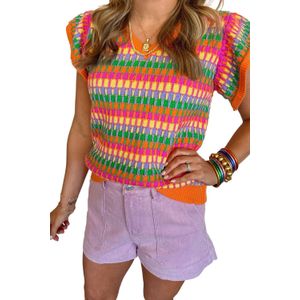 Multicolor Gebreid V-hals Vest