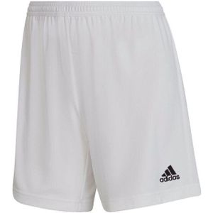 Adidas - Entrada 22 - Trainingsbroek - Sweat Shorts
