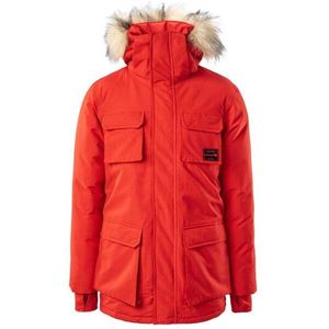 Iguana Heren taavo geïsoleerde parka