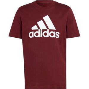 Adidas Essentials big big logo t-shirt