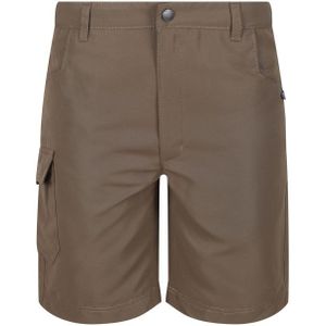 Regatta - Sorcer II - Korte Broeken - Groen - 100% Polyester