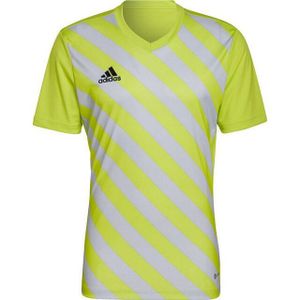 Adidas - Entrada 22 - Grafische Trui - 100% Gerecycled Polyester