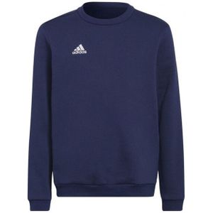 Adidas - Entrada 22 - Sweatshirt - Zwart - Kinderen