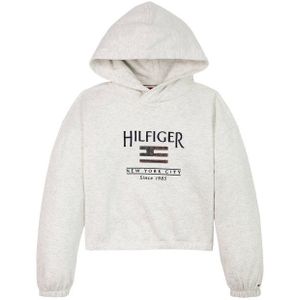 TOMMY HILFIGER - Hoodie - Mêleegrijs - Katoen/Polyester - Met Kap