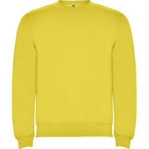 Roly Kinderen/kinderen clasica sweatshirt met ronde hals