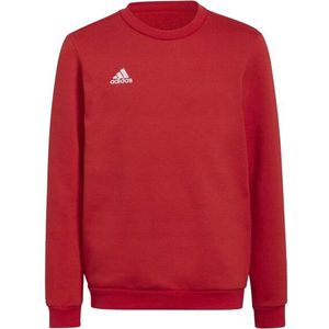 Adidas - Entrada 22 - Sweatshirt - Zwart - Kinderen