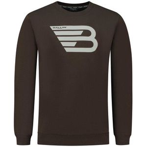 Ballin Amsterdam Trui sweater print w23 bruin