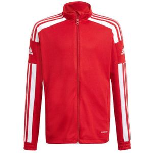 Adidas - Squadra 21 - Trainingsjack - Primegroen - Kinderen