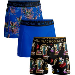 Muchachomalo Jongens 3-pack boxershorts over the rainbow