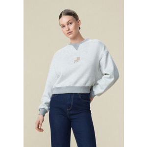 Lois - Licht Grijze Sweater - Dames - Wijdvallend Model - Badstofprint