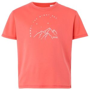 Regatta - Alvarado IX - Berg T-shirt - 100% Gerecycled Polyester - Korte Mouwen