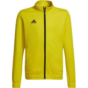 Adidas - Entrada 22 - Track Jacket - Kinder