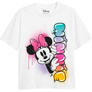 Disney Meisjes minnie mouse regenboog fade t-shirt