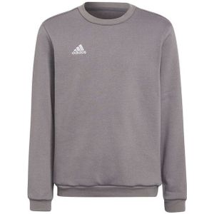 Adidas - Entrada 22 - Sweatshirt - Zwart - Kinderen