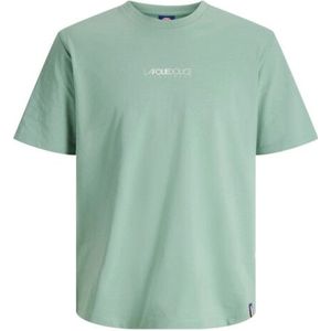 Jack & Jones Jorfolie haze tee ss crew neck
