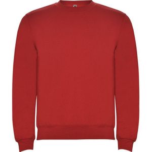 Roly Kinderen/kinderen clasica sweatshirt met ronde hals