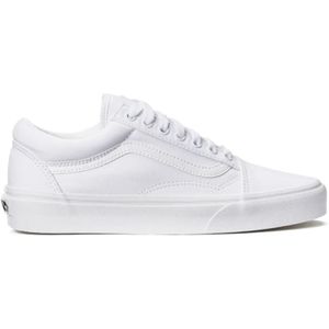 Vans Skate sneakers heren