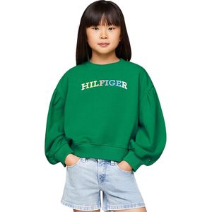 Tommy Hilfiger Monotype sweater