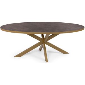 Stalux Ovale eettafel 'mees' 210 x 100cm, kleur goud / lederlook bruin