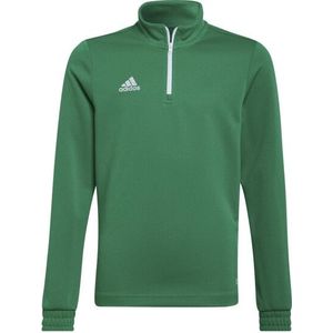 Adidas - Entrada 22 - Trainings Top - Effen - 100% Gerecycled Polyester