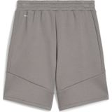 Puma EVOSTRIPE 8""Shorts Herren | Mit Plain | Cast Iron | Größe: L