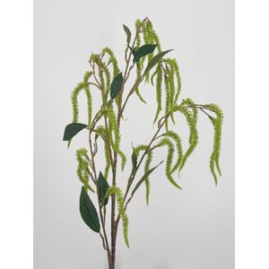Amaranthus - Tak - Groen - Lengte 100cm