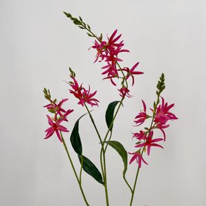 Silk-ka Eremurus spray in beauty, perzik of geel, 101cm