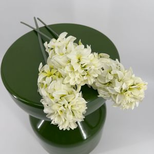 Hyacinth in lila en wit set/3, 42cm