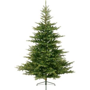 Everlands Kunst Kerstboom Grandis Fir - 150 cm - Groen - 1038 Tips - PVC - Geen Verlichting